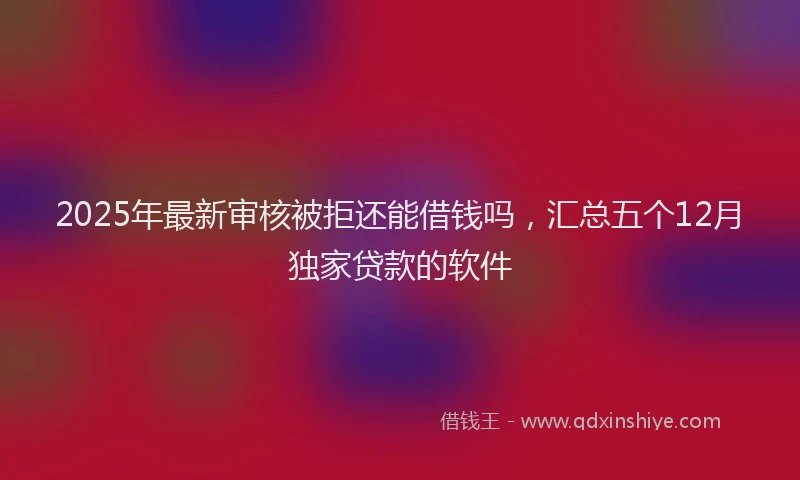 2025年最新审核被拒还能借钱吗，汇总五个12月独家贷款的软件