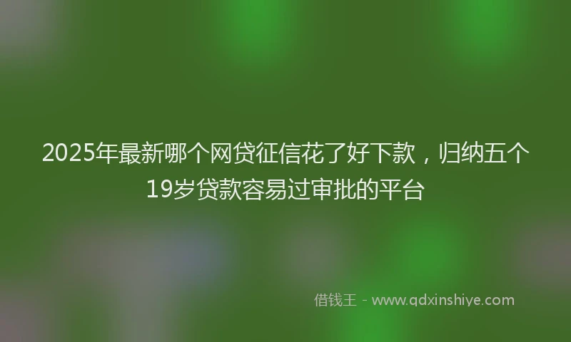 2025年最新哪个网贷征信花了好下款，归纳五个19岁贷款容易过审批的平台