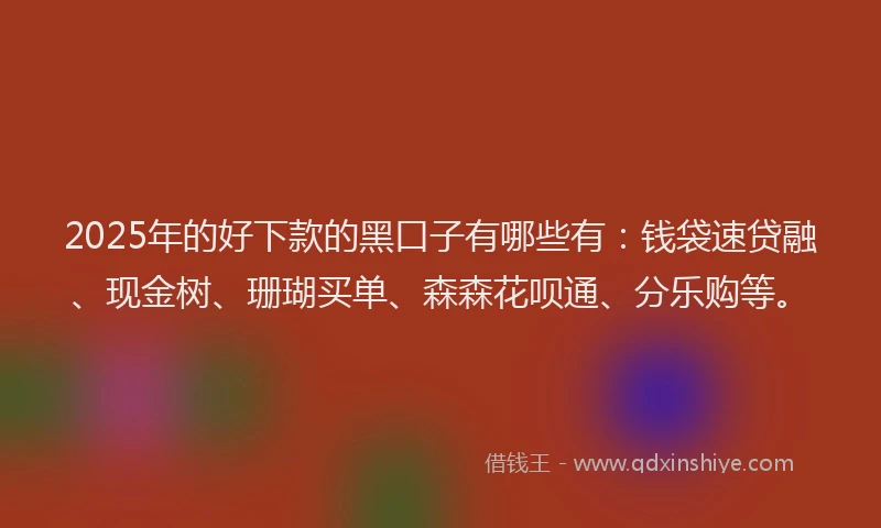 2025年的好下款的黑口子有哪些有：钱袋速贷融、现金树、珊瑚买单、森森花呗通、分乐购等。