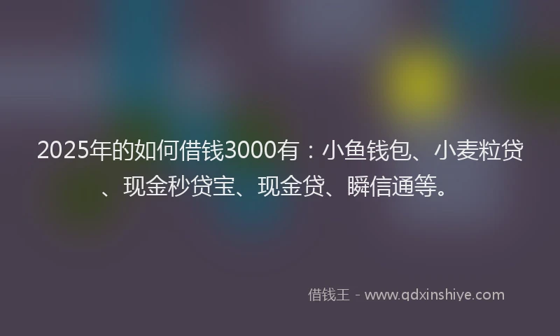 2025年的如何借钱3000有：小鱼钱包、小麦粒贷、现金秒贷宝、现金贷、瞬信通等。