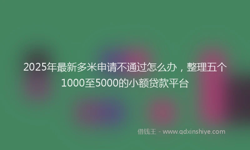 2025年最新多米申请不通过怎么办，整理五个1000至5000的小额贷款平台