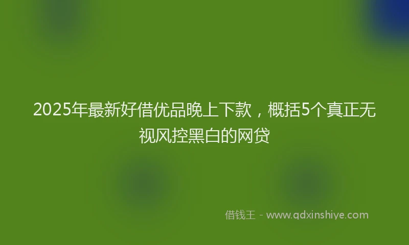 2025年最新好借优品晚上下款，概括5个真正无视风控黑白的网贷