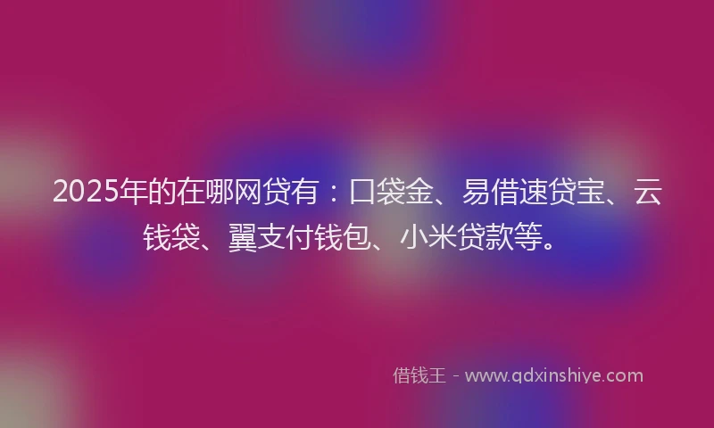 2025年的在哪网贷有：口袋金、易借速贷宝、云钱袋、翼支付钱包、小米贷款等。