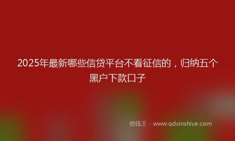 2025年最新哪些信贷平台不看征信的，归纳五个黑户下款口子