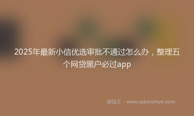 2025年最新小信优选审批不通过怎么办，整理五个网贷黑户必过app
