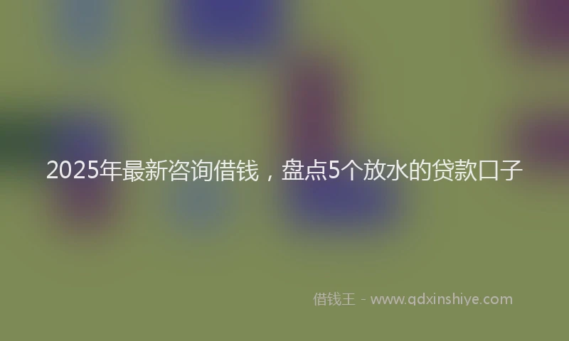 2025年最新咨询借钱，盘点5个放水的贷款口子