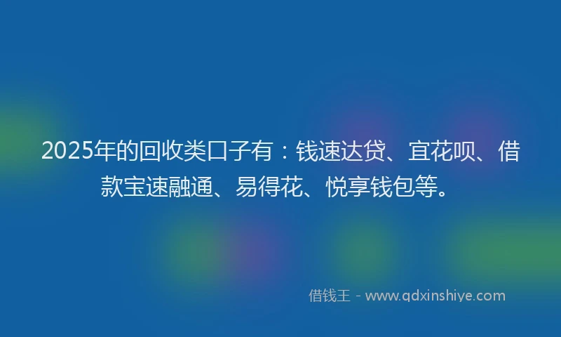 2025年的回收类口子有：钱速达贷、宜花呗、借款宝速融通、易得花、悦享钱包等。
