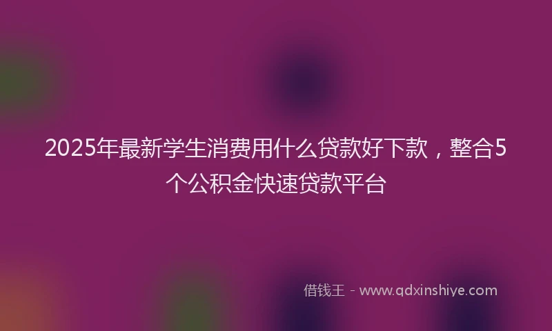 2025年最新学生消费用什么贷款好下款，整合5个公积金快速贷款平台