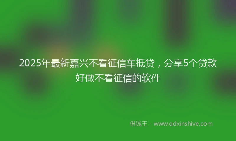 2025年最新嘉兴不看征信车抵贷，分享5个贷款好做不看征信的软件