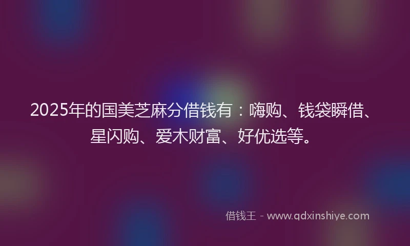 2025年的国美芝麻分借钱有：嗨购、钱袋瞬借、星闪购、爱木财富、好优选等。
