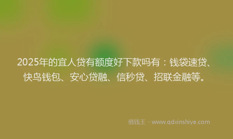 2025年的宜人贷有额度好下款吗有：钱袋速贷、快鸟钱包、安心贷融、信秒贷、招联金融等。