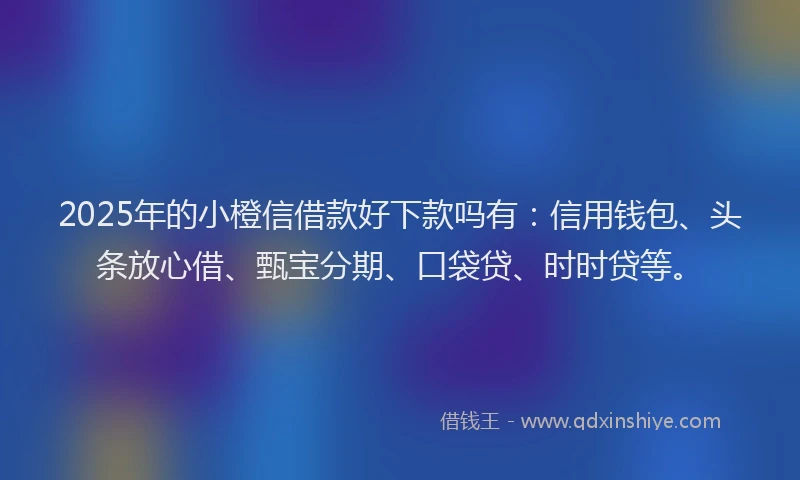 2025年的小橙信借款好下款吗有：信用钱包、头条放心借、甄宝分期、口袋贷、时时贷等。