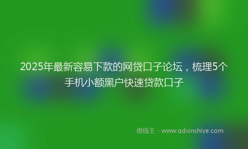 2025年最新容易下款的网贷口子论坛，梳理5个手机小额黑户快速贷款口子