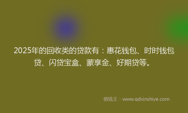 2025年的回收类的贷款有：惠花钱包、时时钱包贷、闪贷宝盒、蒙享金、好期贷等。