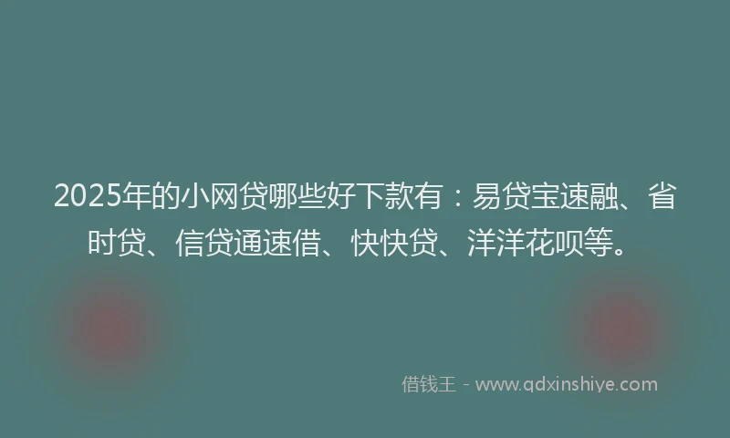 2025年的小网贷哪些好下款有：易贷宝速融、省时贷、信贷通速借、快快贷、洋洋花呗等。