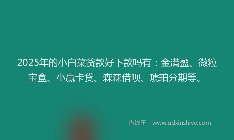 2025年的小白菜贷款好下款吗有：金满盈、微粒宝盒、小赢卡贷、森森借呗、琥珀分期等。