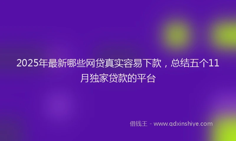 2025年最新哪些网贷真实容易下款，总结五个11月独家贷款的平台