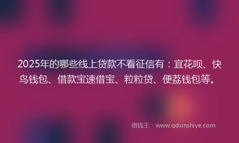 2025年的哪些线上贷款不看征信有：宜花呗、快鸟钱包、借款宝速借宝、粒粒贷、便荔钱包等。
