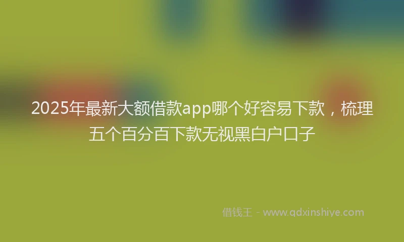 2025年最新大额借款app哪个好容易下款，梳理五个百分百下款无视黑白户口子
