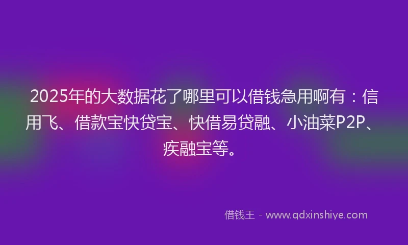2025年的大数据花了哪里可以借钱急用啊有：信用飞、借款宝快贷宝、快借易贷融、小油菜P2P、疾融宝等。