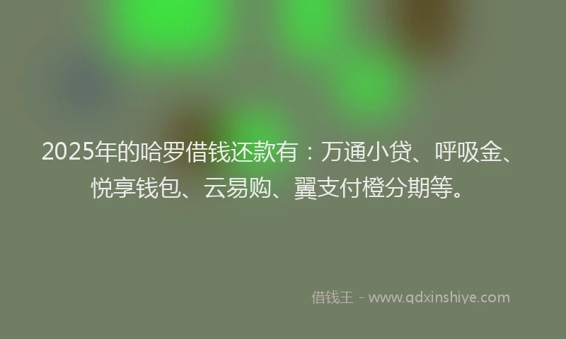 2025年的哈罗借钱还款有：万通小贷、呼吸金、悦享钱包、云易购、翼支付橙分期等。