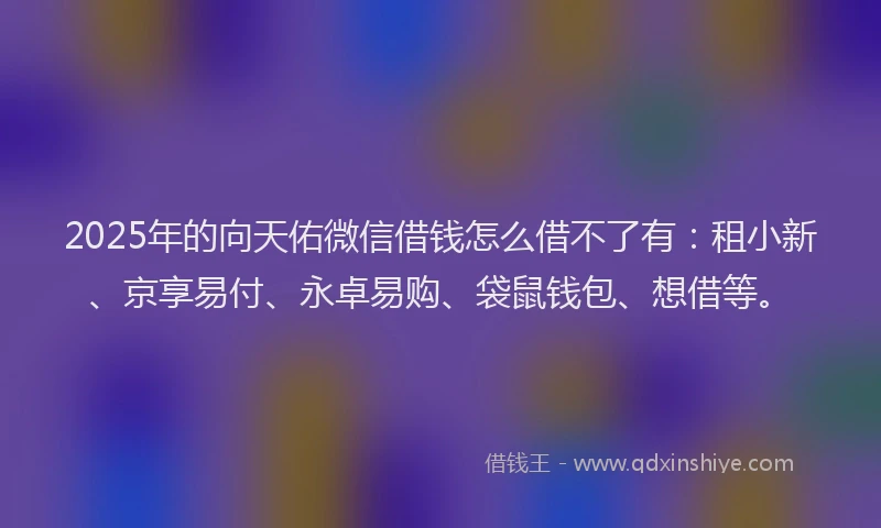 2025年的向天佑微信借钱怎么借不了有：租小新、京享易付、永卓易购、袋鼠钱包、想借等。