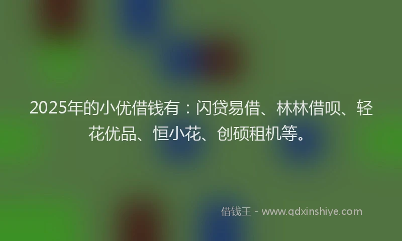 2025年的小优借钱有：闪贷易借、林林借呗、轻花优品、恒小花、创硕租机等。