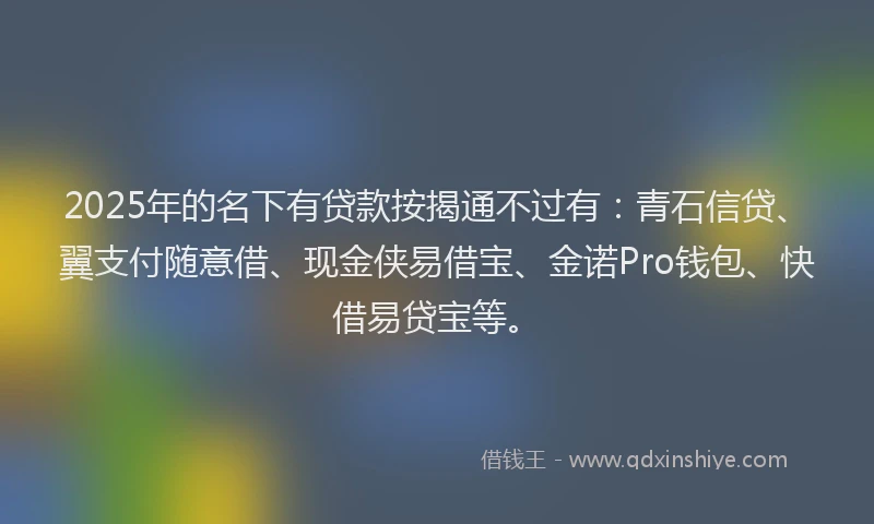 2025年的名下有贷款按揭通不过有：青石信贷、翼支付随意借、现金侠易借宝、金诺Pro钱包、快借易贷宝等。