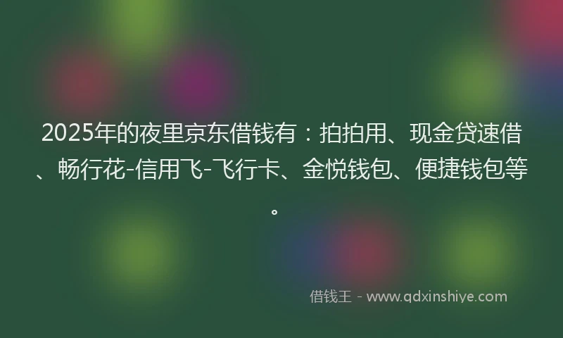 2025年的夜里京东借钱有：拍拍用、现金贷速借、畅行花-信用飞-飞行卡、金悦钱包、便捷钱包等。