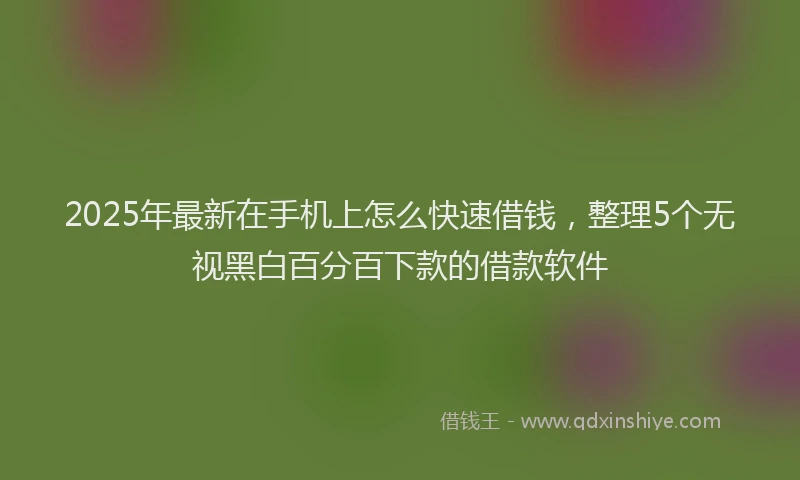 2025年最新在手机上怎么快速借钱，整理5个无视黑白百分百下款的借款软件