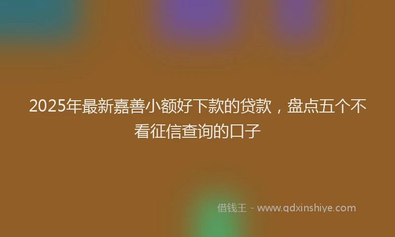 2025年最新嘉善小额好下款的贷款，盘点五个不看征信查询的口子