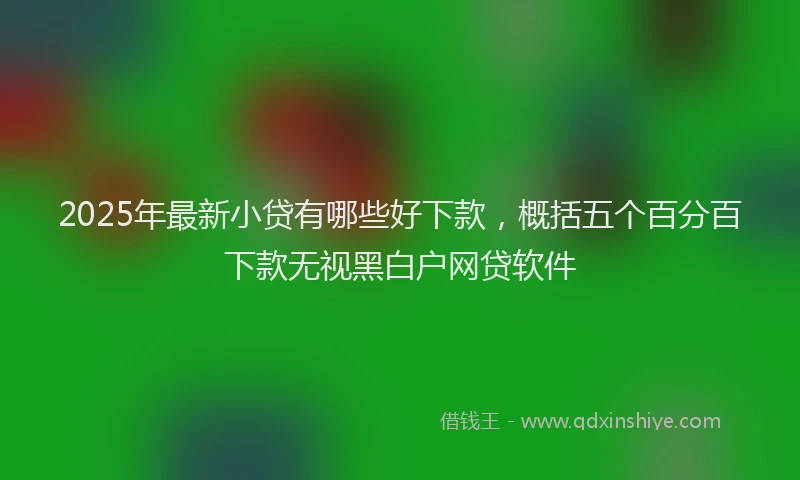 2025年最新小贷有哪些好下款，概括五个百分百下款无视黑白户网贷软件