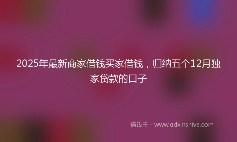 2025年最新商家借钱买家借钱，归纳五个12月独家贷款的口子
