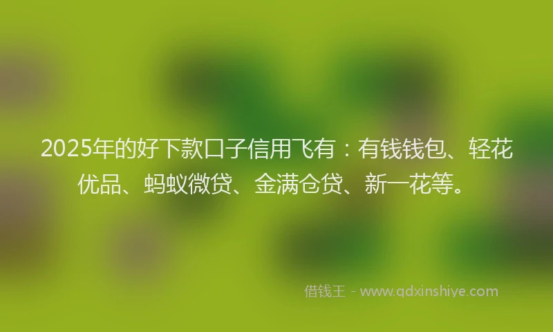 2025年的好下款口子信用飞有：有钱钱包、轻花优品、蚂蚁微贷、金满仓贷、新一花等。