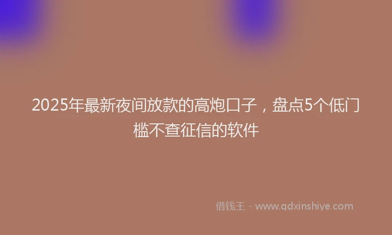 2025年最新夜间放款的高炮口子，盘点5个低门槛不查征信的软件