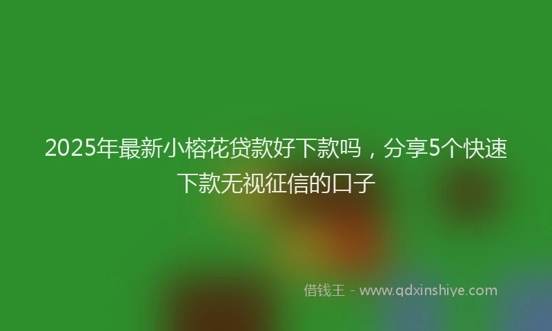 2025年最新小榕花贷款好下款吗，分享5个快速下款无视征信的口子