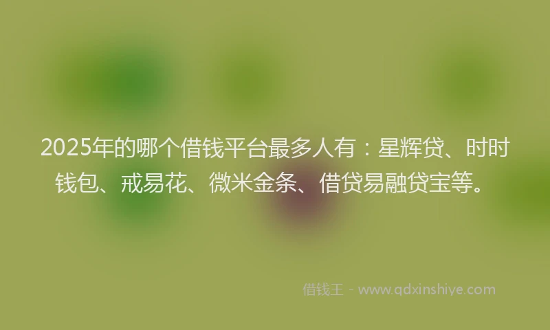 2025年的哪个借钱平台最多人有：星辉贷、时时钱包、戒易花、微米金条、借贷易融贷宝等。