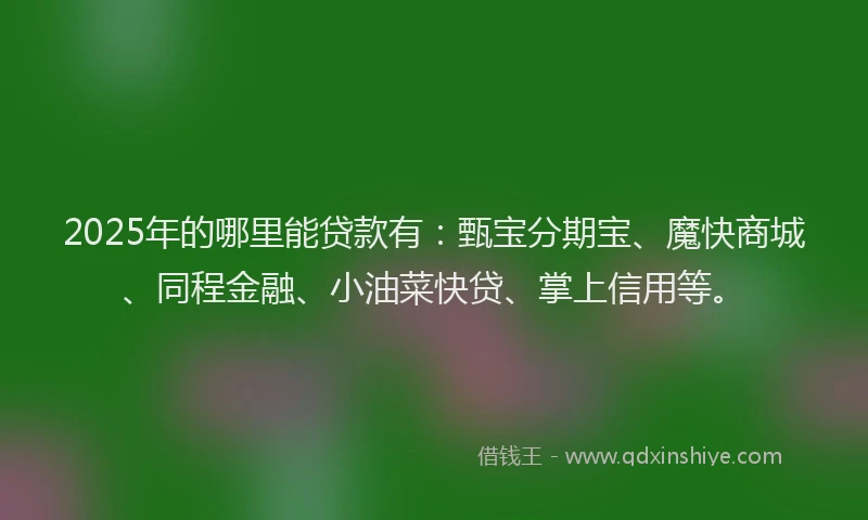 2025年的哪里能贷款有：甄宝分期宝、魔快商城、同程金融、小油菜快贷、掌上信用等。