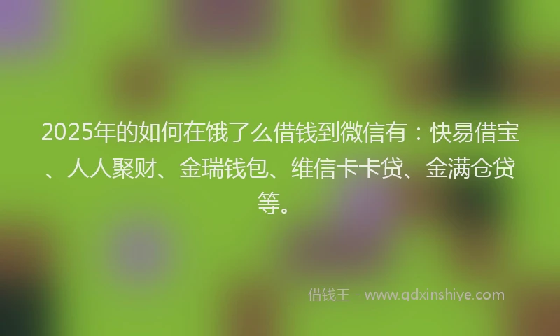 2025年的如何在饿了么借钱到微信有：快易借宝、人人聚财、金瑞钱包、维信卡卡贷、金满仓贷等。