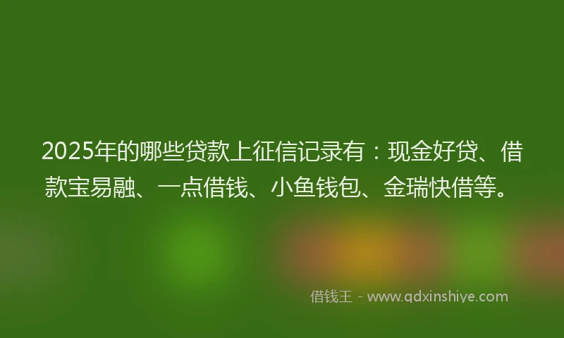 2025年的哪些贷款上征信记录有：现金好贷、借款宝易融、一点借钱、小鱼钱包、金瑞快借等。