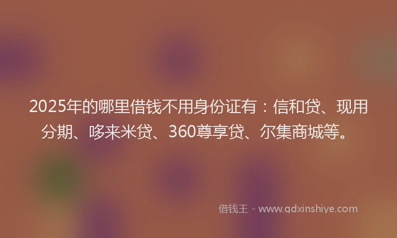 2025年的哪里借钱不用身份证有：信和贷、现用分期、哆来米贷、360尊享贷、尔集商城等。