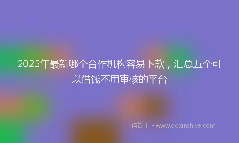 2025年最新哪个合作机构容易下款，汇总五个可以借钱不用审核的平台