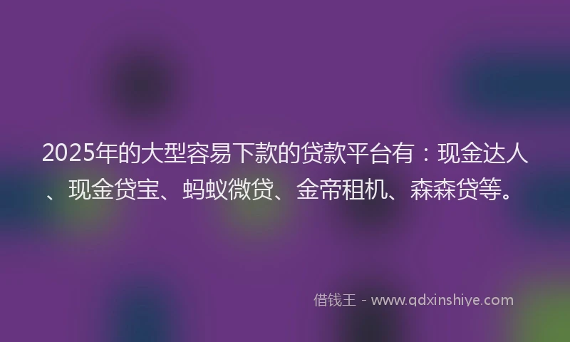 2025年的大型容易下款的贷款平台有：现金达人、现金贷宝、蚂蚁微贷、金帝租机、森森贷等。