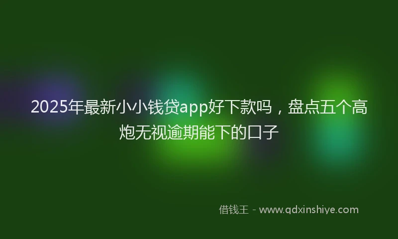 2025年最新小小钱贷app好下款吗，盘点五个高炮无视逾期能下的口子