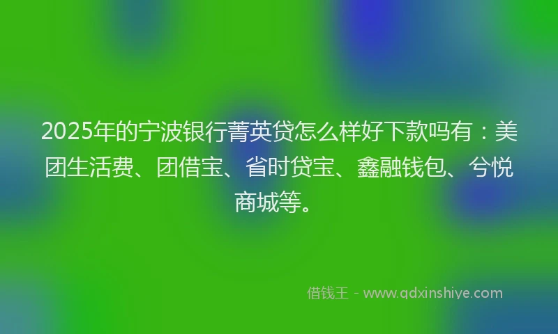 2025年的宁波银行菁英贷怎么样好下款吗有：美团生活费、团借宝、省时贷宝、鑫融钱包、兮悦商城等。