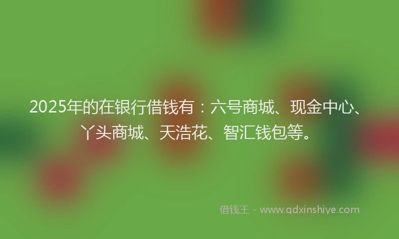 2025年的在银行借钱有：六号商城、现金中心、丫头商城、天浩花、智汇钱包等。