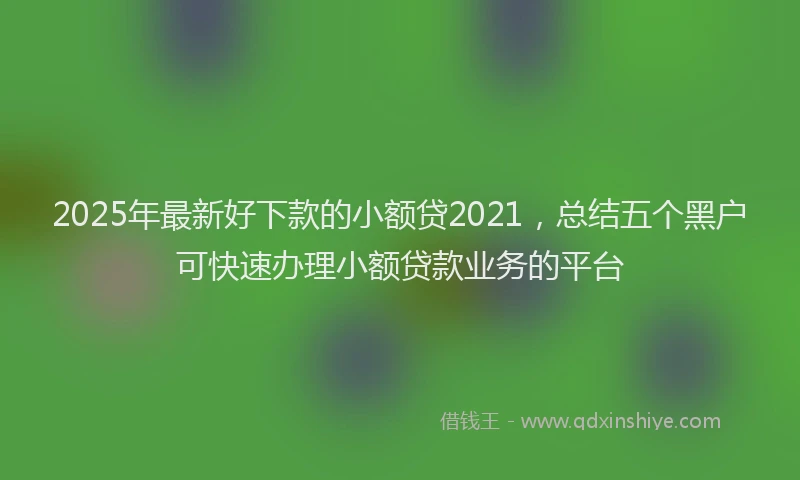 2025年最新好下款的小额贷2021，总结五个黑户可快速办理小额贷款业务的平台