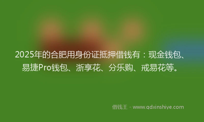 2025年的合肥用身份证抵押借钱有：现金钱包、易捷Pro钱包、浙享花、分乐购、戒易花等。