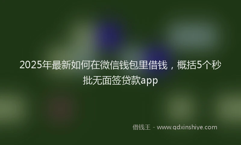 2025年最新如何在微信钱包里借钱，概括5个秒批无面签贷款app