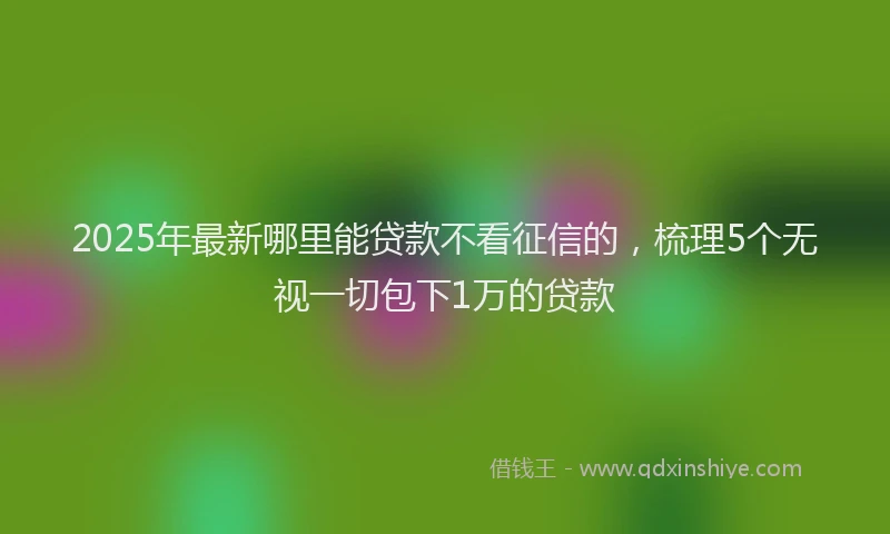 2025年最新哪里能贷款不看征信的，梳理5个无视一切包下1万的贷款